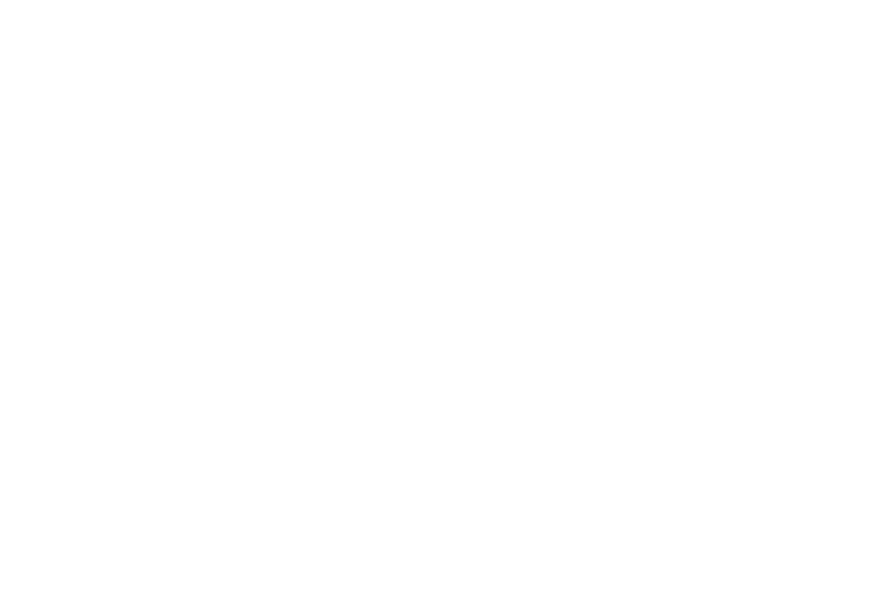 Run Shorts