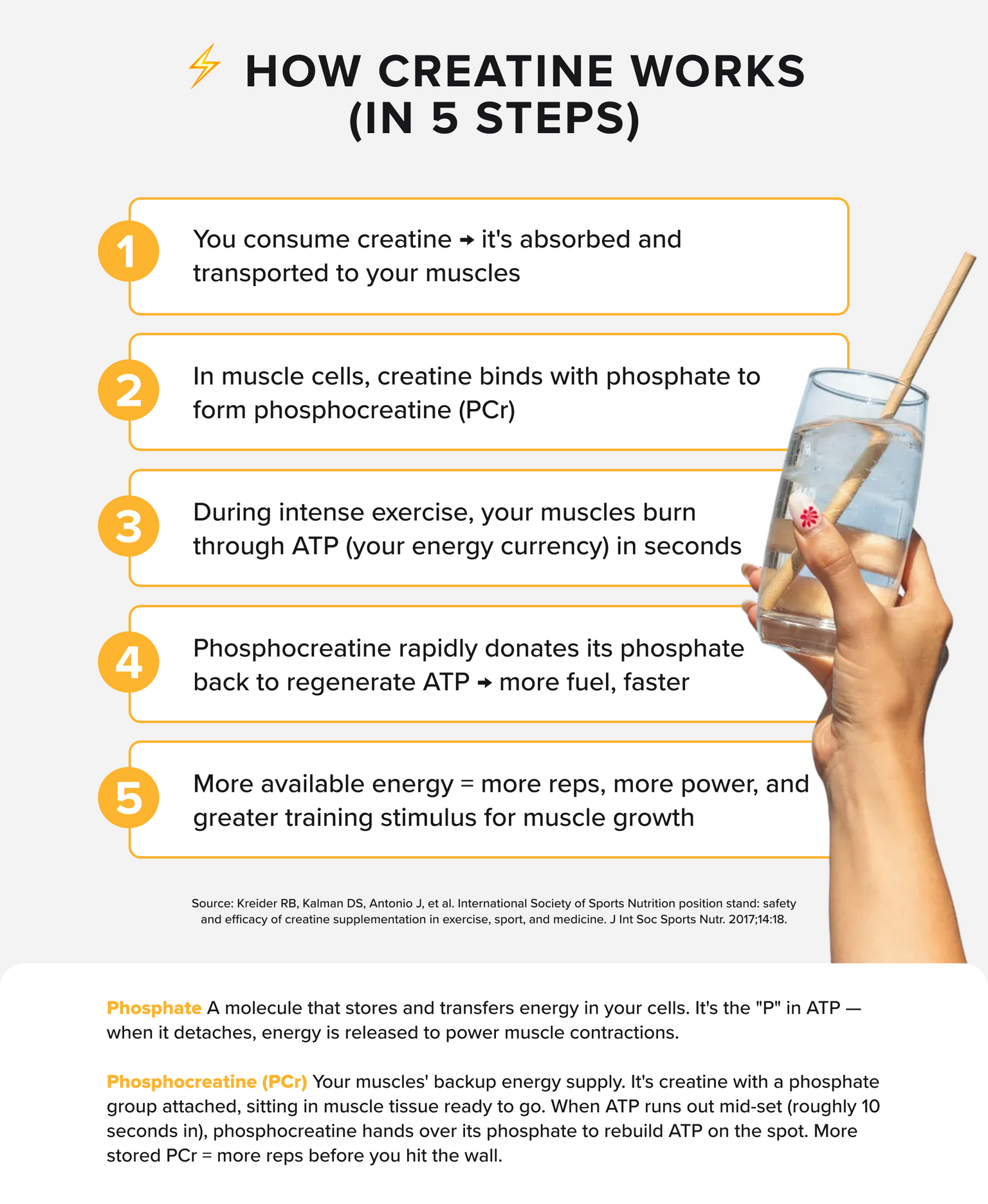 CREATINE MONOHYDRATE - Orange Mango - 50 serves-Creatine-MNSUPPS0423-9359054003057-3-Muscle Nation