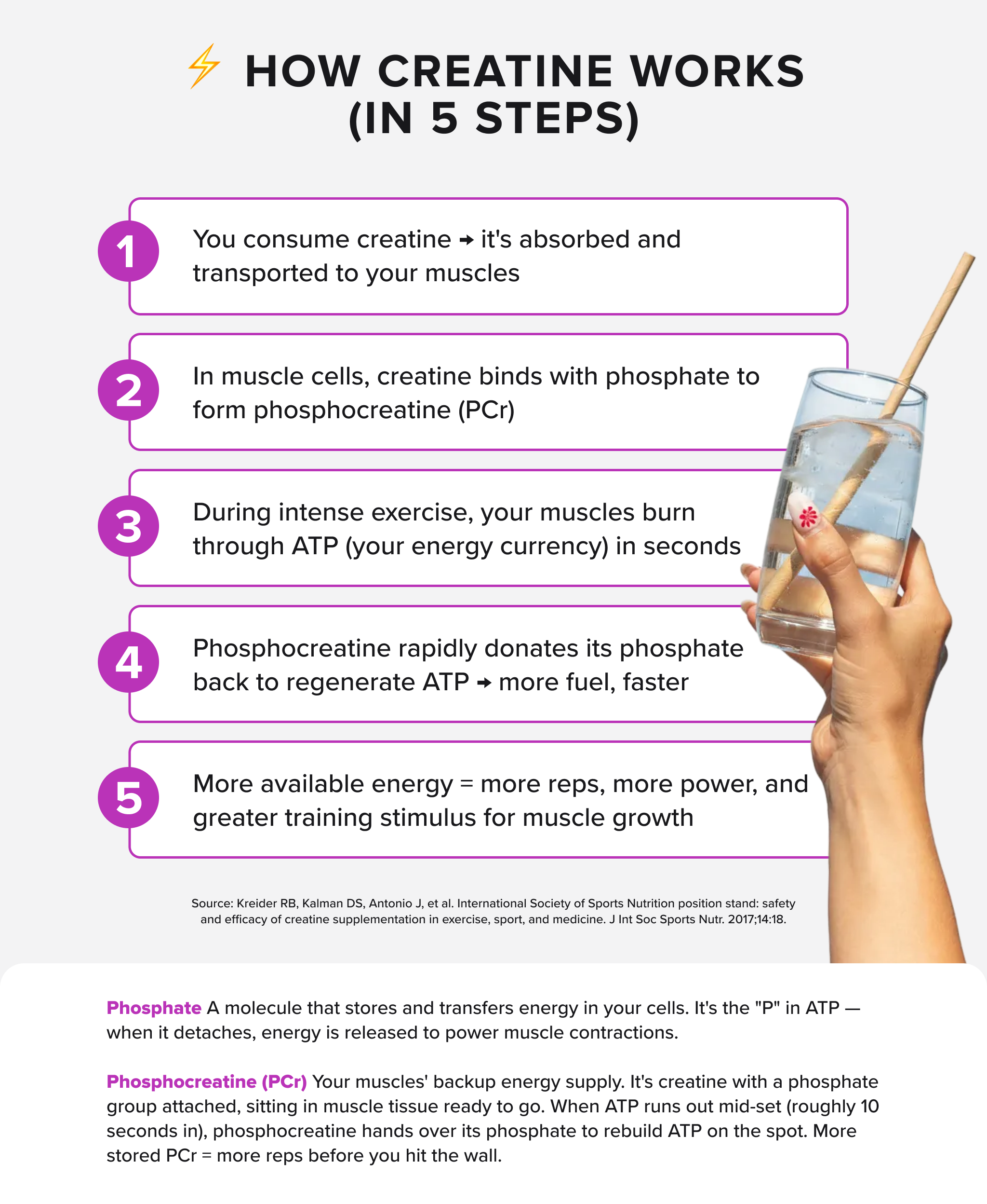 CREATINE MONOHYDRATE - Passionfruit - 50 serves-Creatine-MNSUPPS0422-9359054003040-3-Muscle Nation