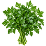 Parsley