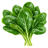 Spinach
