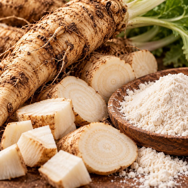 Chicory root, the source of inulin