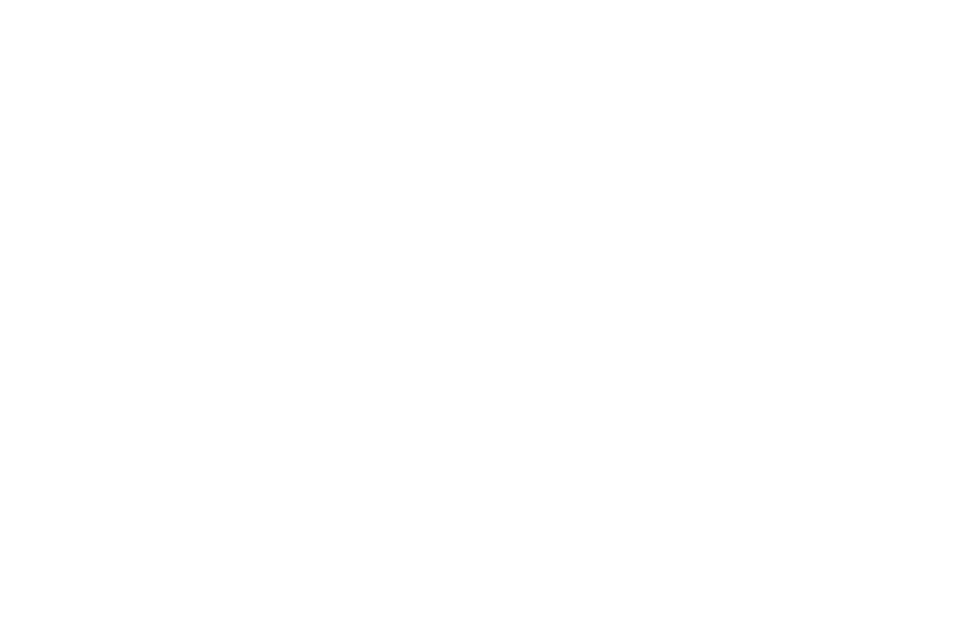 Run Shorts