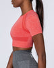 Scroll to image 